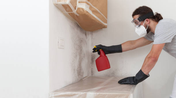Professional Commercial Mold Remediation technician working in Temperanceville, VA
