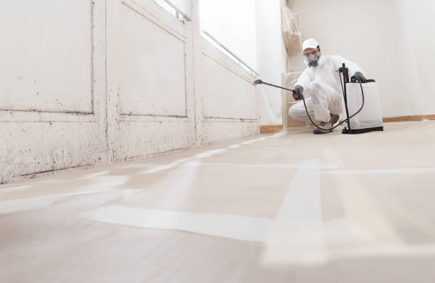 24/7 Emergency Commercial Mold Remediation experts in Temperanceville, VA